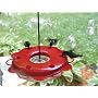 Birds Choice Hummerfest Hummingbird Feeder, 12 Ounce
