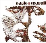 Eagle Seagull