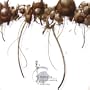Crossbreeding & Grafting