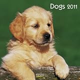 Dogs 2011. Broschürenkalender