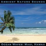 Ocean Waves: Maui, Hawaii