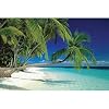 Maldive Islands (Tropical Palm Trees Over Water) Art Poster Print - 36x24