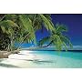 Maldive Islands (Tropical Palm Trees Over Water) Art Poster Print - 36x24