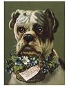 10x8 Photograph (25x20cm) DOG AND FLOWER BASKET by Mary Evans