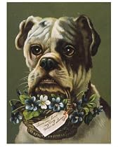Photographic Print of DOG AND FLOWER BASKET from Mary Evans