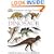 Dinosaur Ultimate Sticker Book (Ultimate Stickers)