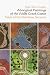 Aboriginal Paintings of the Wolfe Creek Crate: Track of the Rainbow Serpent
