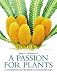 Books : A Passion For Plants: Contemporary Botanical Masterworks: Contemporary Botanical Masterworks from the Shirley Sherwood Collection