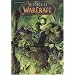 World of Warcraft, Tome 2 : L'Appel du destin