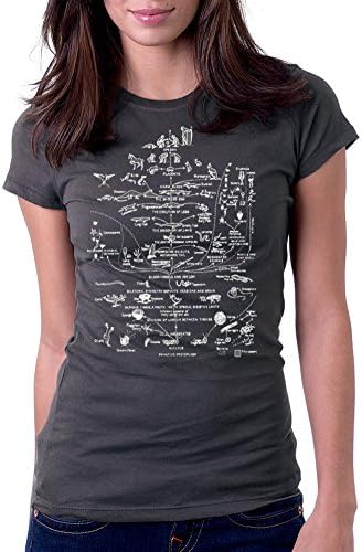 Women's Darwin's Diagram of Evolution Tee T-Shirt