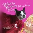 Bijoux's Birthday Cake: A delicious adventure