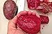 *NEW*SWEET FRUIT* RED CACTUS PEAR *5 seeds*RARE* #1035