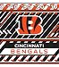 bengal9 - Turner NFL Cincinnati Bengals Stretch Book Covers 8190171