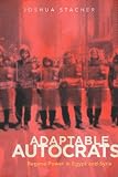 Adaptable Autocrats: Regime Power in Egypt and Syria (Stanford Studies in Middle Eastern and I)