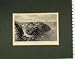 1831 Antique Print View Carrick-A-Rede Ireland Antrim