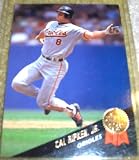 1993 Leaf Cal Ripken Jr # 431 MLB Baseball Card