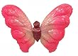 Pink Butterfly Glass Polonaise Christmas Ornament #AP1704NW