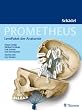 Prometheus LernPaket der Anatomie: Sch�del