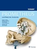 Prometheus LernPaket der Anatomie: Sch&auml;del - J&uuml;rgen L&uuml;thje, Michael Sch&uuml;nke, Erik Schulte, Udo Schumacher