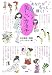 美しい「カタチ」
