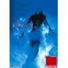 ���̒��̔��� [DVD]