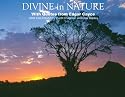 Divine in Nature: With Quotes from Edgar Cayce