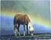 Icelandic Horse Computer Mouse Pad