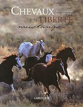 Chevaux en libert&eacute; : Mustangs