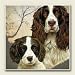 Kitchen & Housewares : AbsorbaStone Coaster set~ English Springer Spaniel ~4 Tile Drink Coasters ~ code 770C