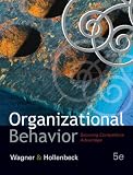 Organizational Behavior: Securing Competitive Advantage