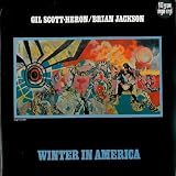 Winter in America [VINYL]