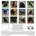 2009 Black Labrador Puppies Wall Calendar