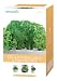 AeroGarden 6-Pod Seed Kit Herbs for Salad Dressings and Marinades