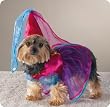 SMALL - Little Princess Dog Costume