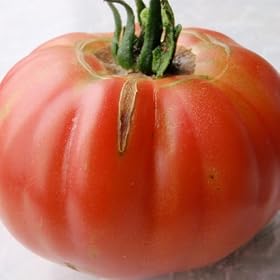 Tomato - Brandywine - 250 Seeds + *Free Seeds*