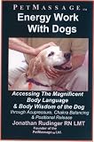 51mADXM B4L. SL160  Energy Works with Dog Audio CD