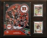 NFL Cincinnati Bengals 2011 Team Plaque