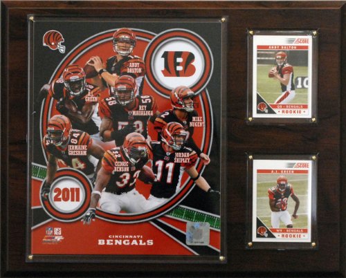 NFL Cincinnati Bengals 2011 Team Plaque