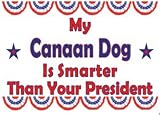 My Canaan Dog Is Smarter Than Your President Plush Teddy Bear with BLUE T-Shirt