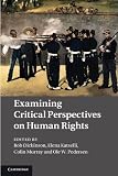 Examining Critical Perspectives on Human Rights