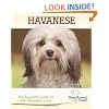 Havanese: The Essential Guide for the Havanese Lover