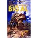 L'incroyable aventure de big al