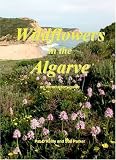 Wildflowers in the Algarve: An Introductory Guide