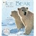 Ice Bear