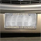 Florida Gators Titanium Engraved License Plate Frame