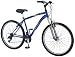 Schwinn Mens High Timber Bicycle (Silver)