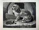 1874 Edwin Landseer Fine Art Scruffy Puppy Dog Kennel