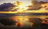 Destination Paradise