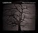 Iliketrains-ELEGIES TO LESSONS LEARNT [Vinyl]