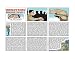 DOONESBURY ART - LOST IN IRAQ WAR